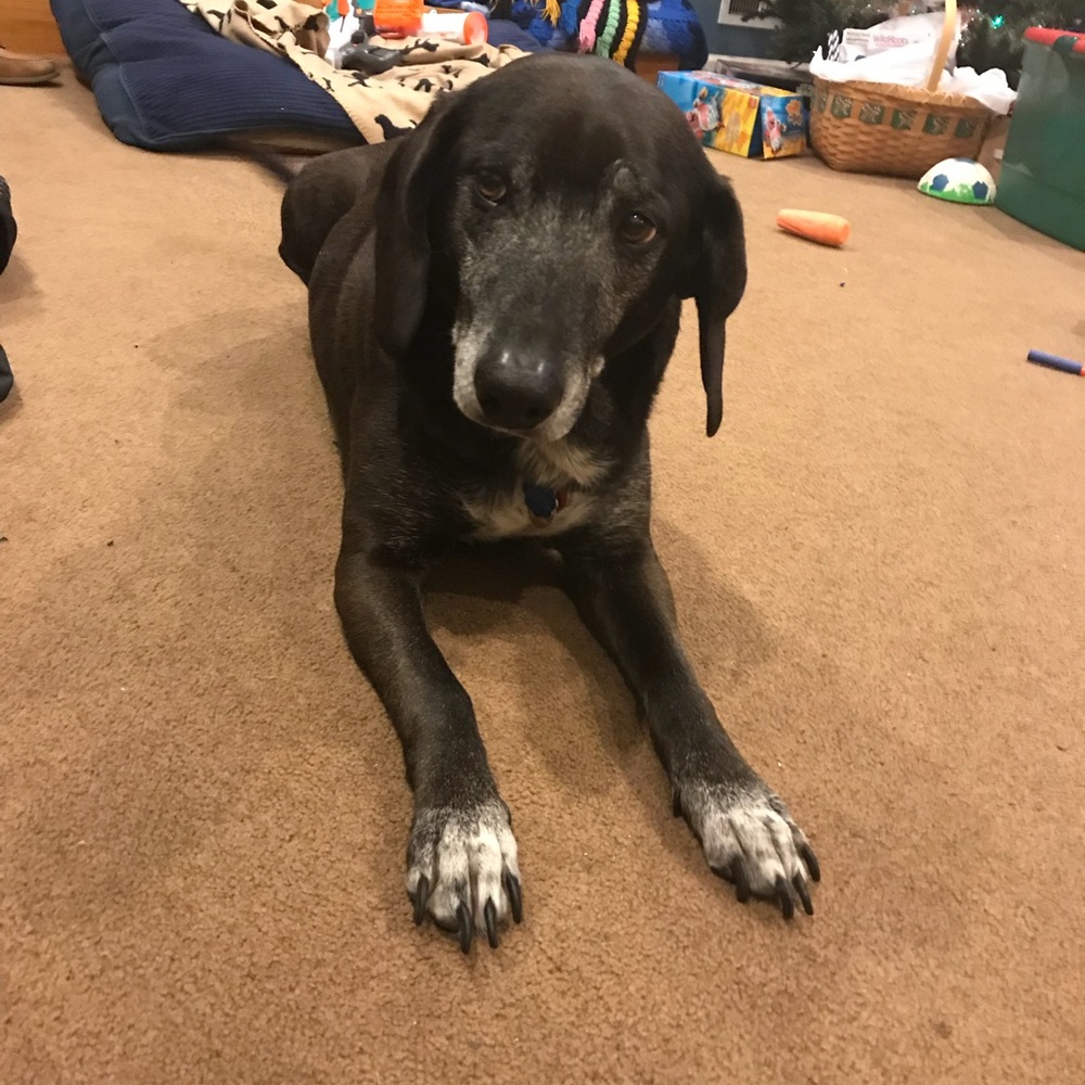 Meet your Posher, Jamie